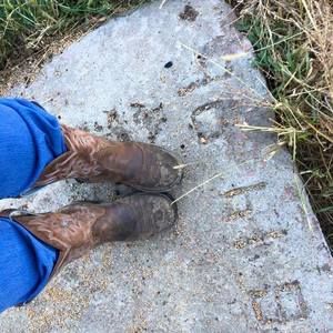 Meet your Posher, Misty